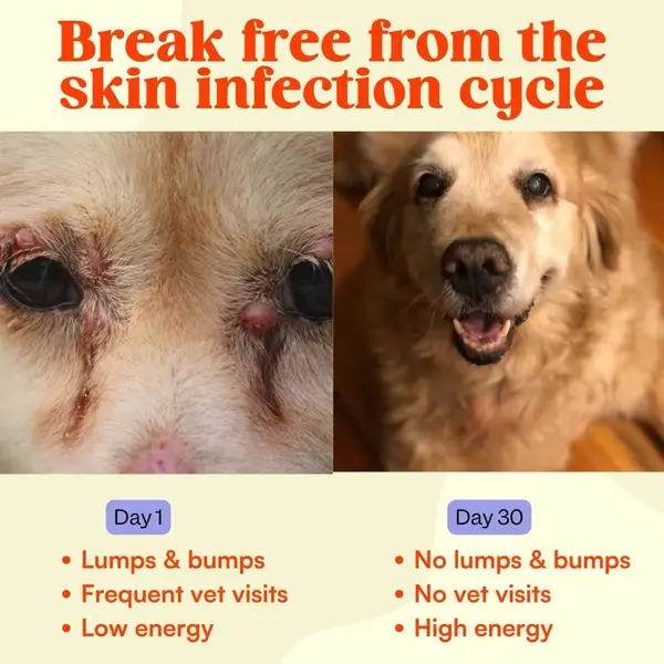 D2C static ad — Before / After